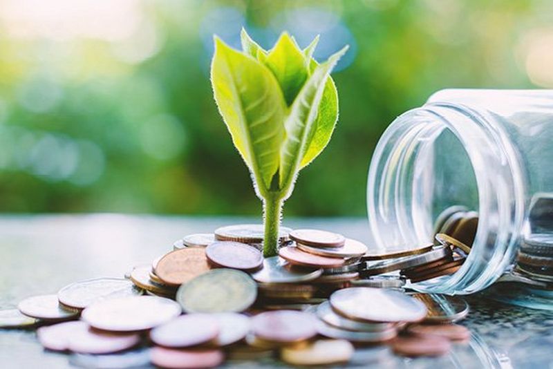 sustainability and profitability